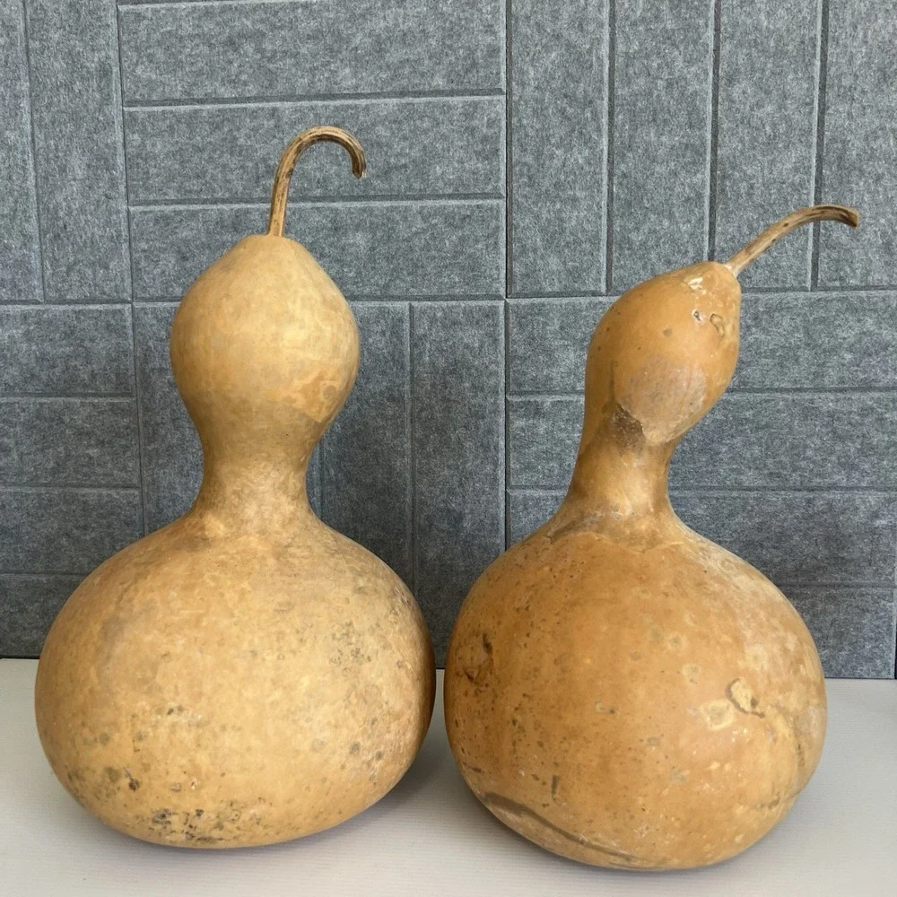2 Natural Bottle Snowman Gourds Dried Cleaned Fall Decor Crafting